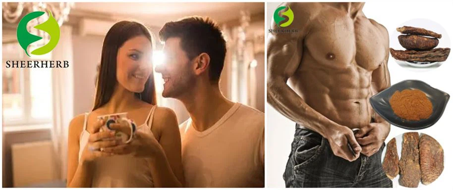 Cistanche Extract Powder's Function