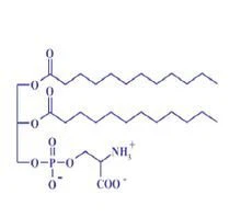 Phosphatidylserine raw materials Phosphatidylserine raw materials