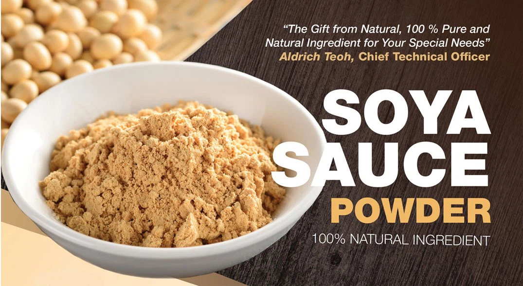 soy sauce powder 2