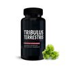 Tribulus-Terrestris