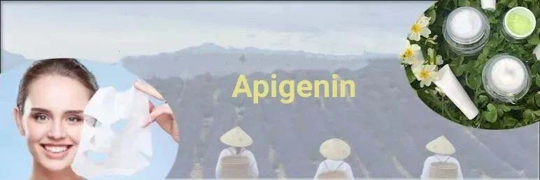 apigenin-2 apigenin-2